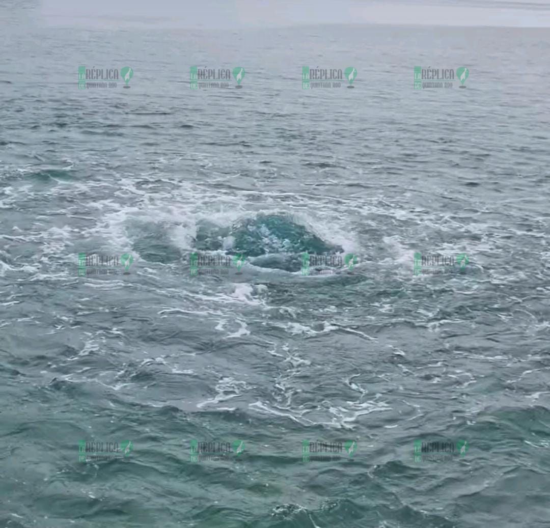 Captan Formaci N De Ojo De Agua En Mar De Cozumel Tras Intensas