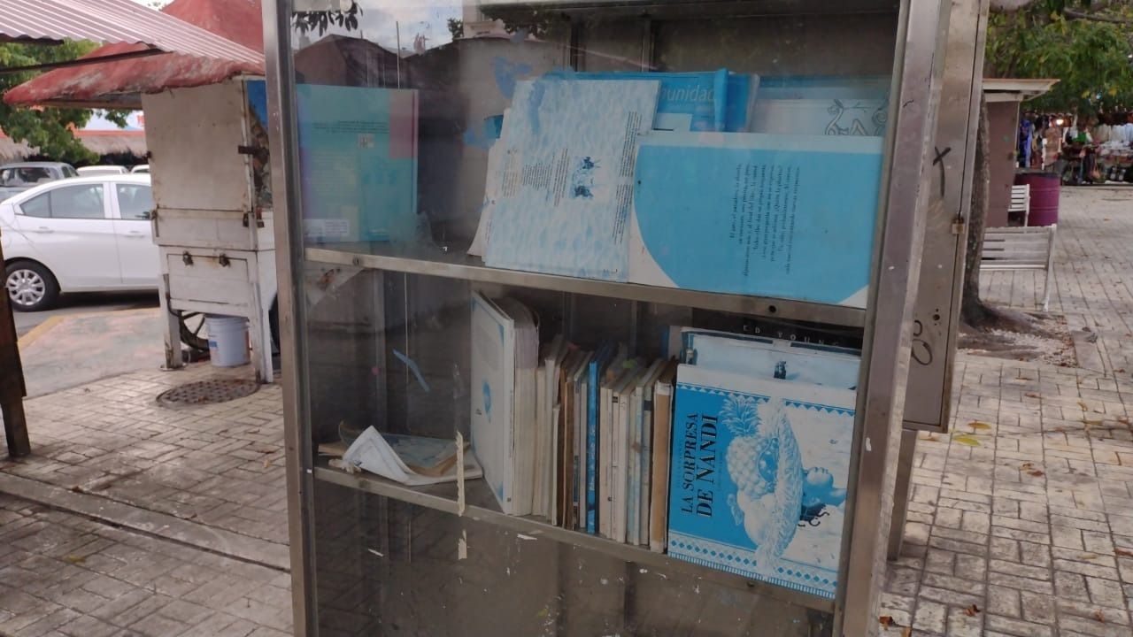 En el olvido "Paralibros" del Parque de las Palapas