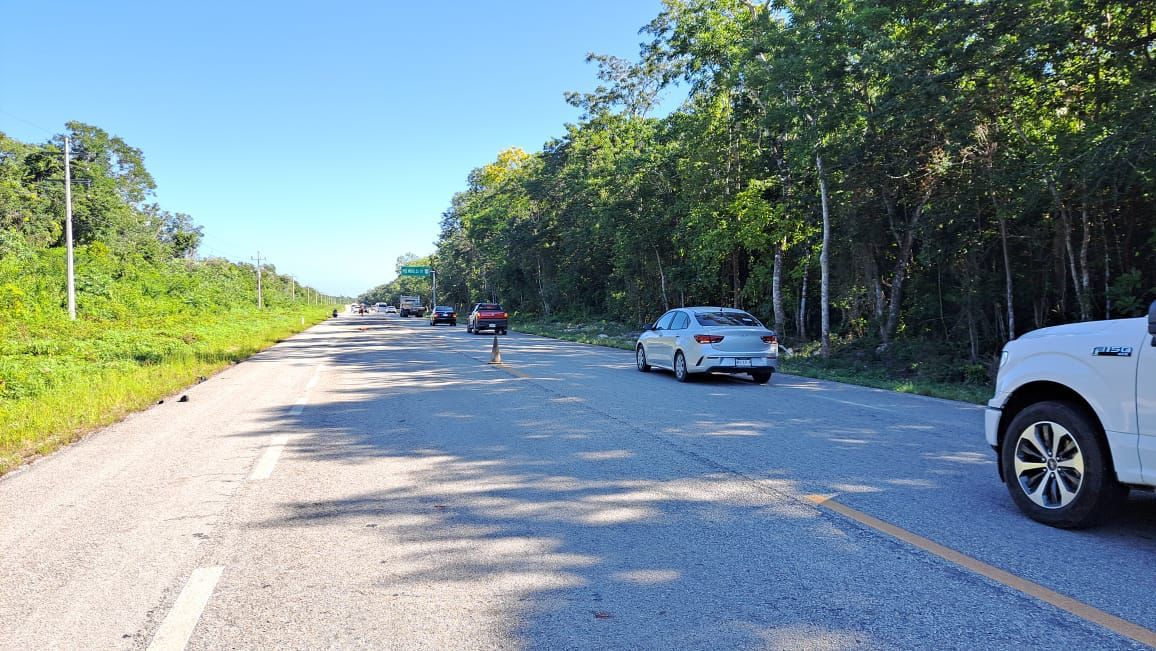 Hallan cuerpo destrozado por vehículos en la carretera Felipe Carrillo Puerto-Tulum