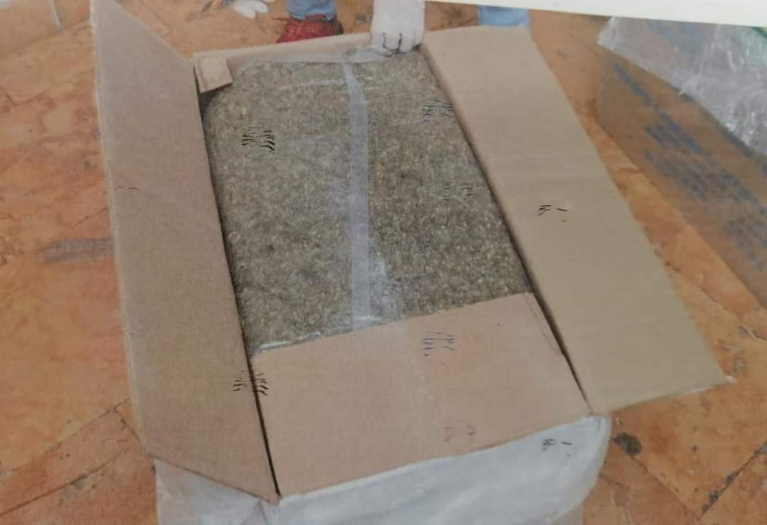 Sentencia de más de once años a dos por transportar marihuana