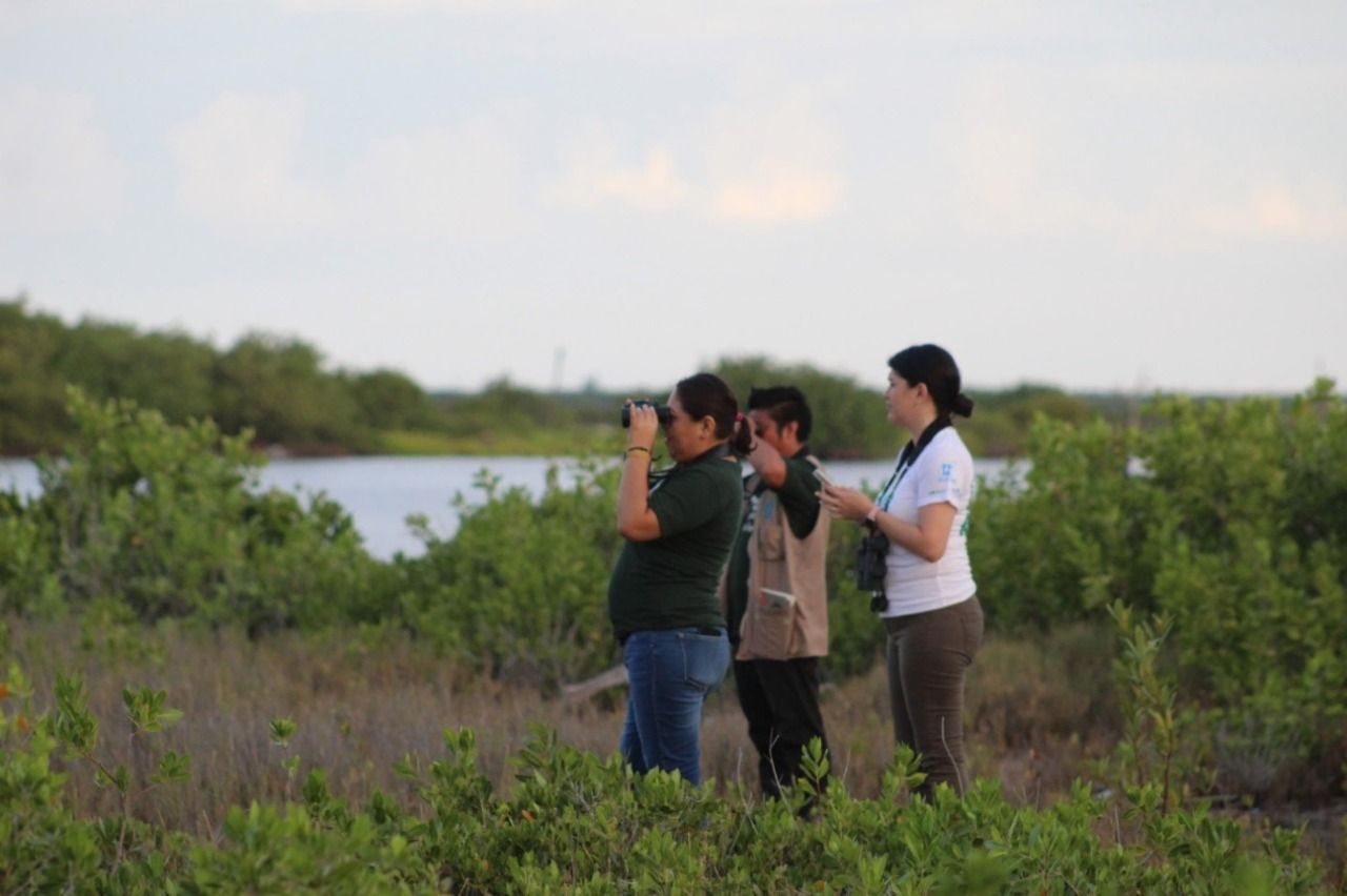 Registró FPMC 39 especies de aves durante monitoreo en el Parque Ecoturístico Punta Sur