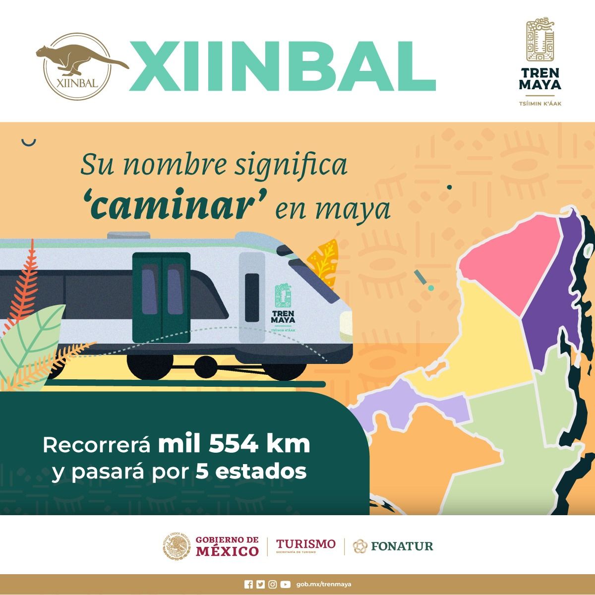 Salvarán cenotes y ríos submarinos con Tren elevado en Tramo 5, revela AMLO