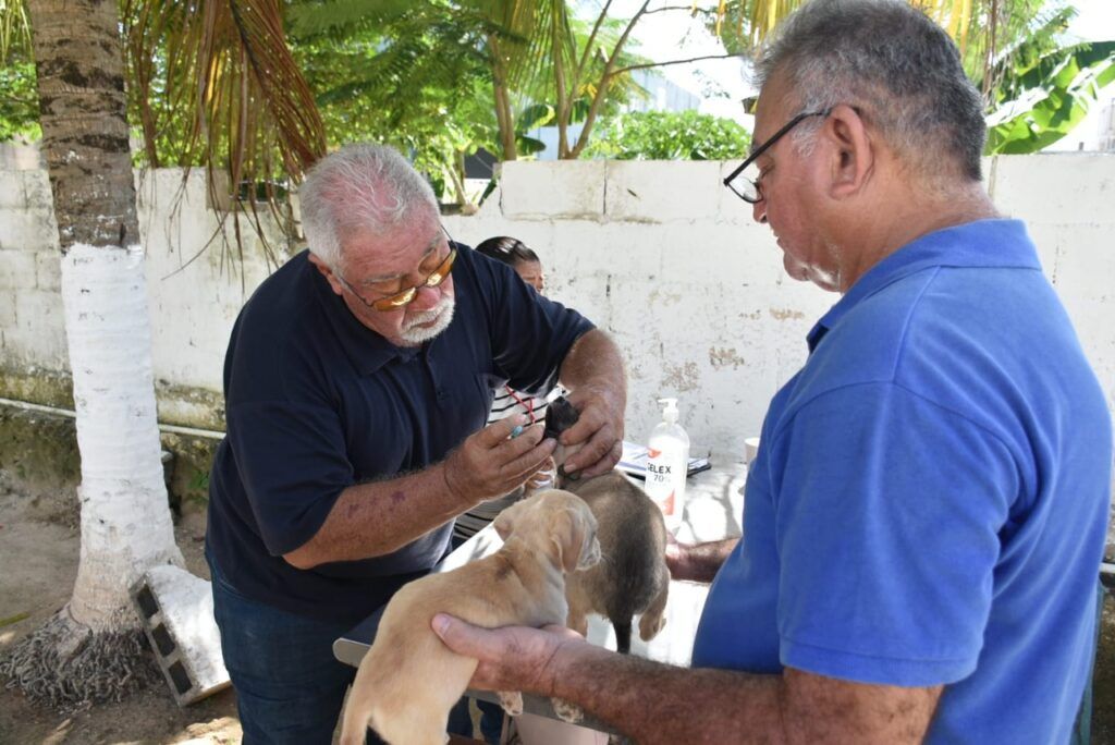 Jornada de adopción canina con buena respuesta de la ciudadanía