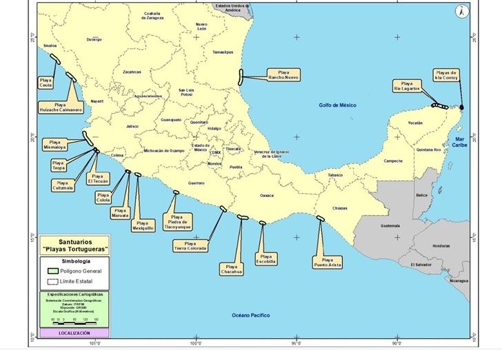 Declara Semarnat a Isla Contoy como santuario de tortugas