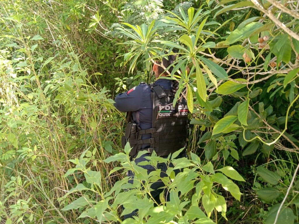 Encuentran cadáver aparentemente maniatado en un área verde de la colonia Cristo Vive de Cancún