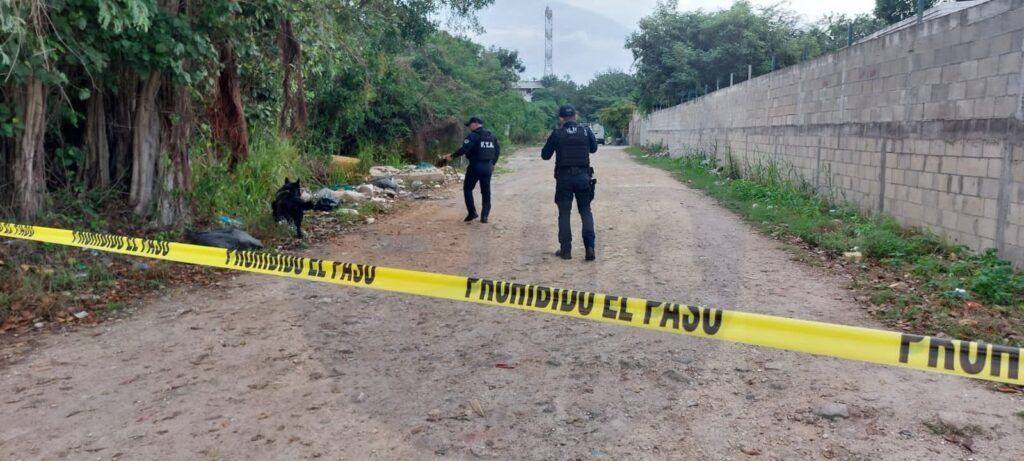 Hallan un cuerpo decapitado en una área verde de la colonia Forjadores de Playa del Carmen