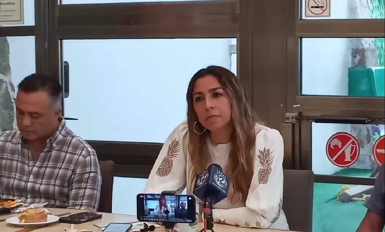 "Plan B" de reforma electoral va, declara senadora Marybel Villegas