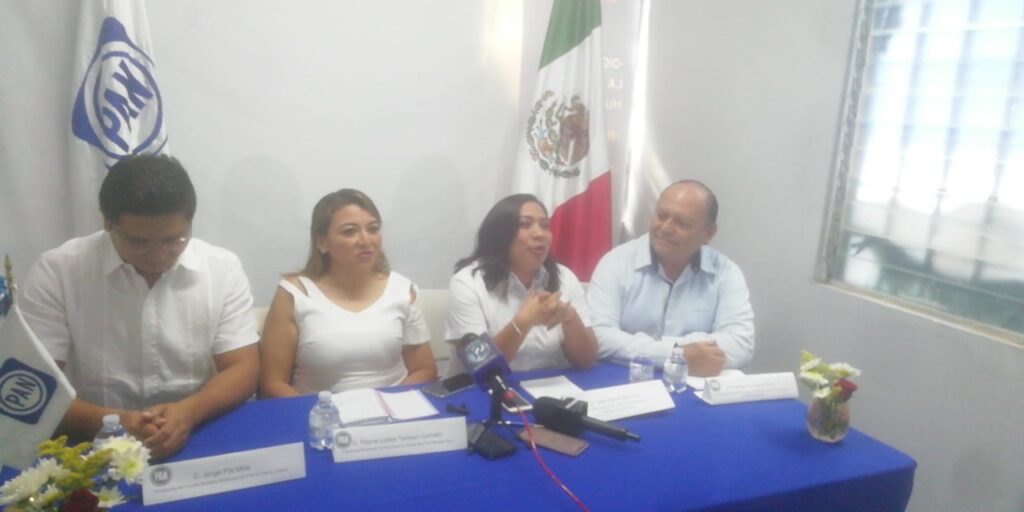 Confirma Reyna Tamayo renuncia de Atenea Gómez Ricalde al PAN