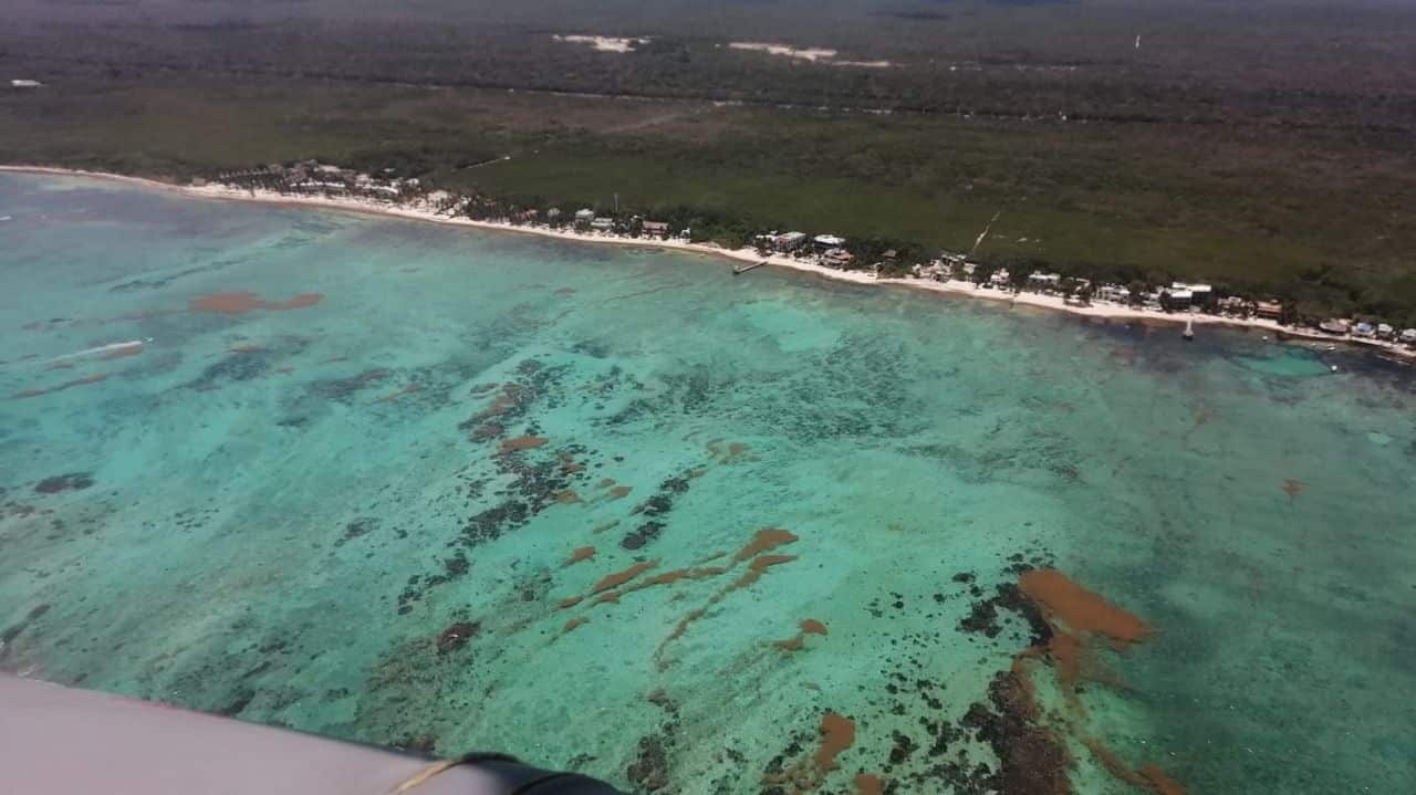 Descargar balastro de Cuba en Puerto Morelos traería daños ambientales, advierte activista