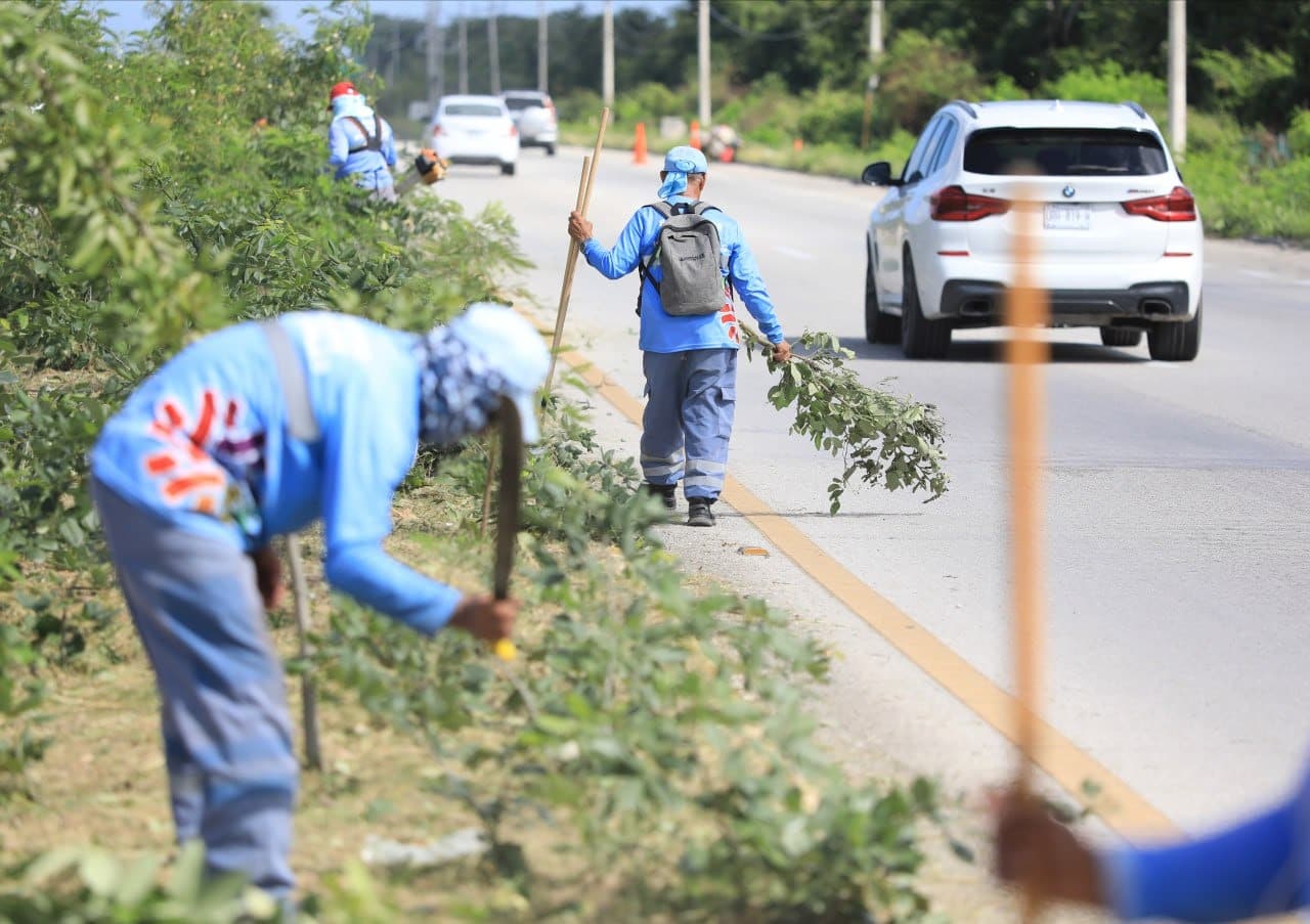 Gobierno refuerza limpieza en tramos carreteros