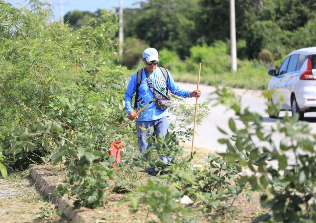 Gobierno refuerza limpieza en tramos carreteros