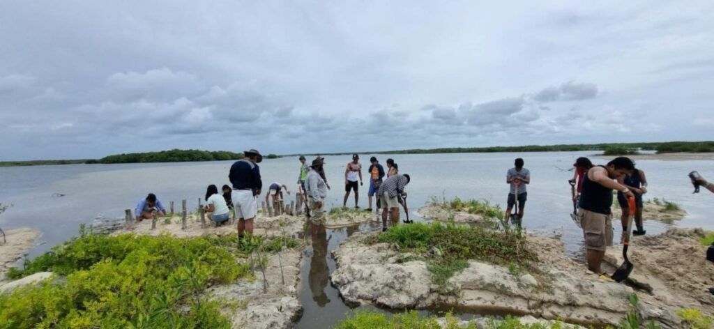 Punta Sur, referente para el sector académico en el conocimiento del patrimonio biocultural insular