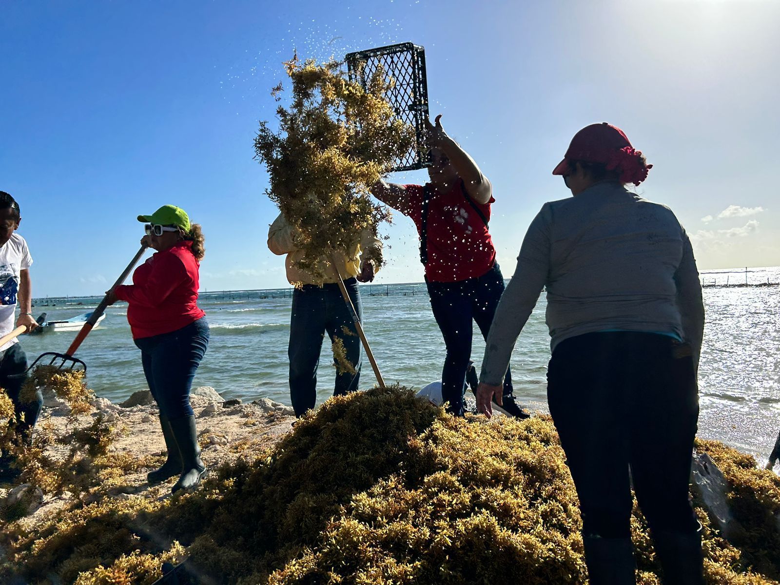 A punto de iniciar maniobras para instalación de malla antisargazo en Mahahual