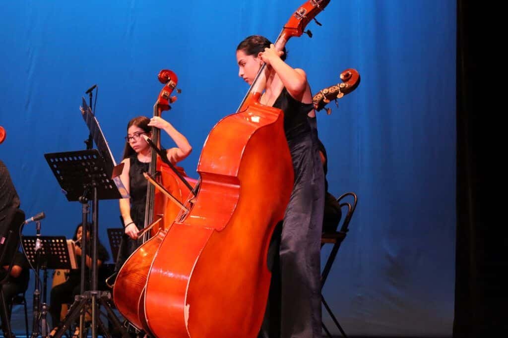 Lili Campos pone arte y cultura al alcance de los solidarenses