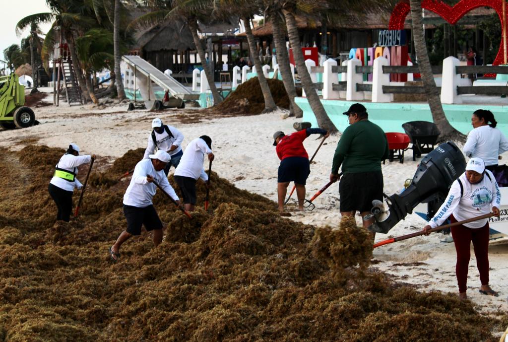 Comienza la colocación del boyado de barreras antisargazo en Puerto Morelos