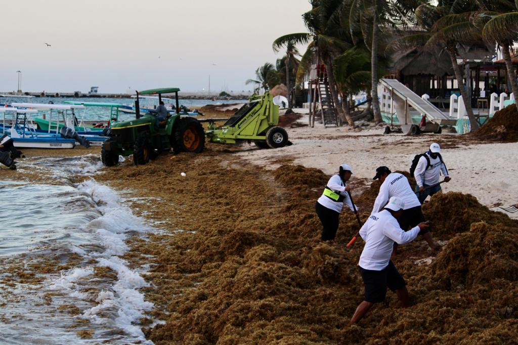 Comienza la colocación del boyado de barreras antisargazo en Puerto Morelos