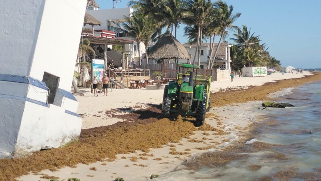 Comienza la colocación del boyado de barreras antisargazo en Puerto Morelos