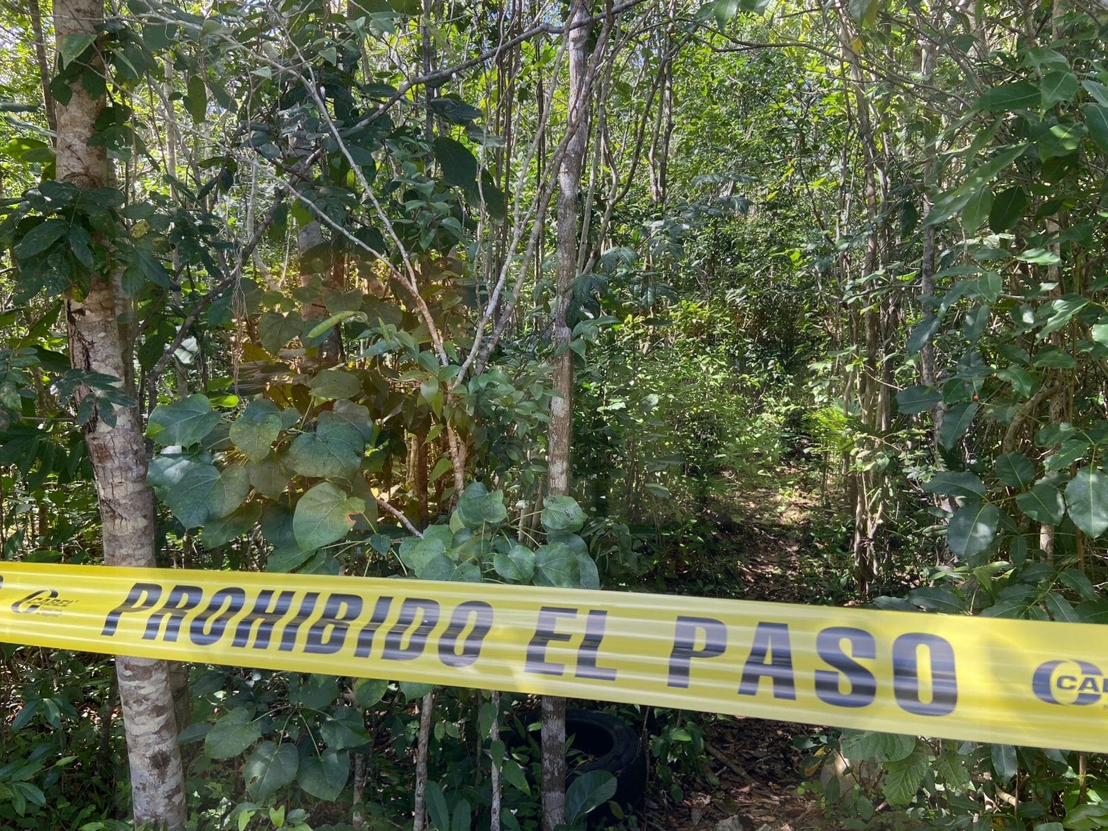 Hallan cadáver cerca de la colonia Tren Reyes de Cancún