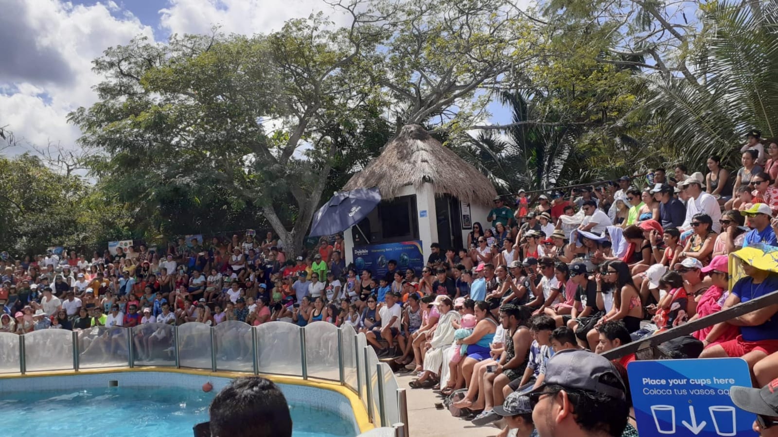 Por primera vez abren Chankanaab gratis a los cozumeleños