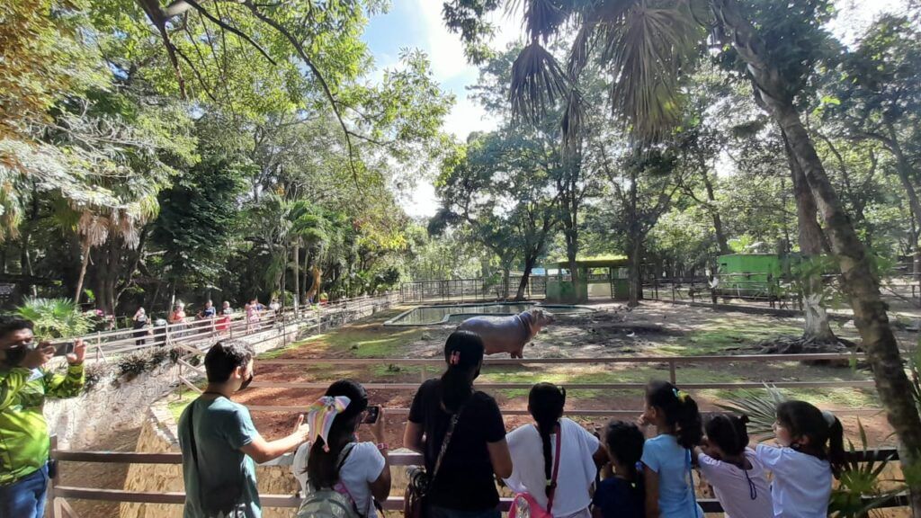 Sábado y domingo familiar en el zoológico Payo Obispo