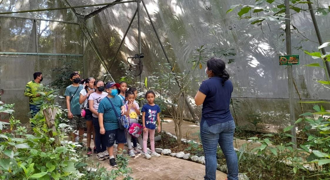 Sábado y domingo familiar en el zoológico Payo Obispo