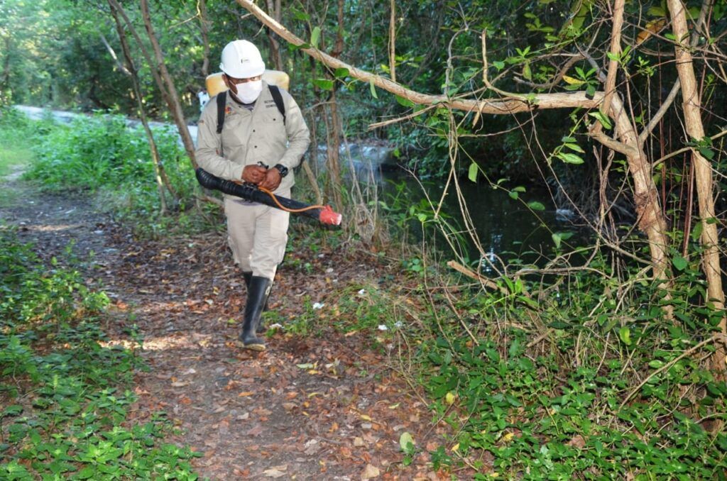 Invita SESA a no bajar la guardia contra el dengue