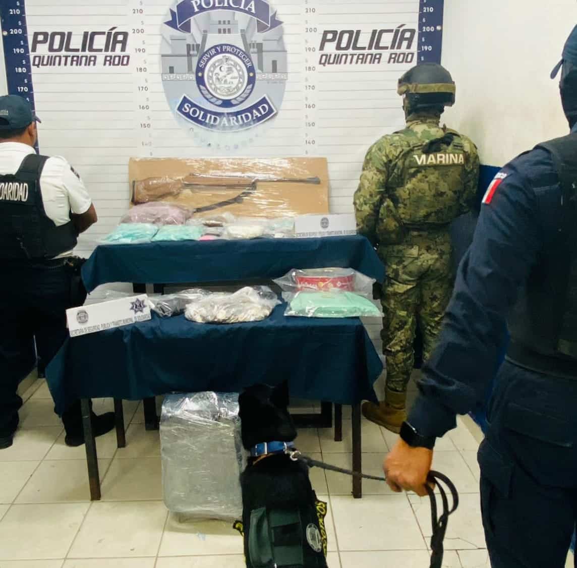 Aseguran más de 2 mil dosis de droga, un arma y efectivo en 'Animalia'