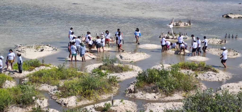 Brindan espacios de aprendizaje experiencial en educación ambiental