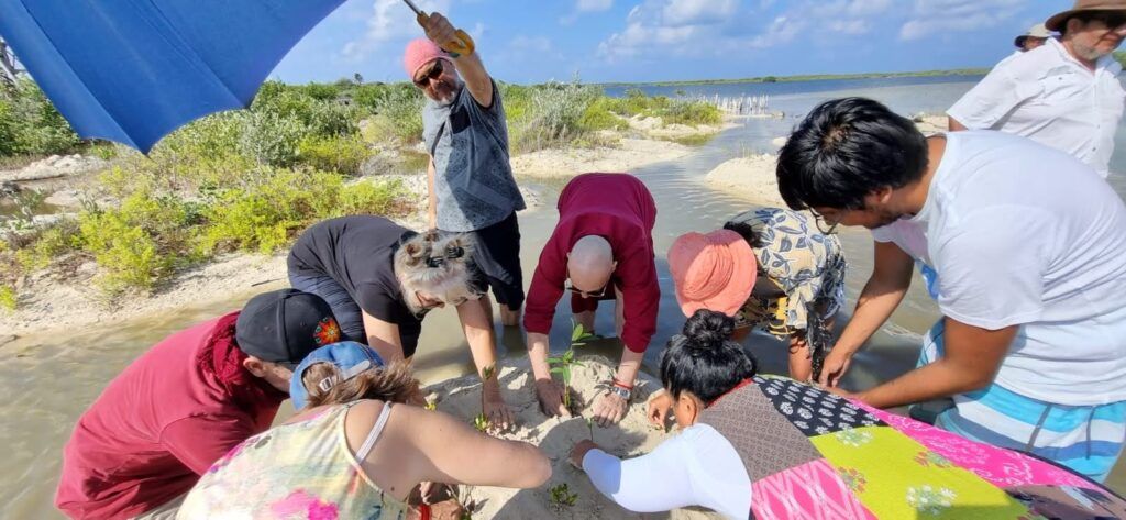 Abren las puertas de Punta Sur para una meditación activa