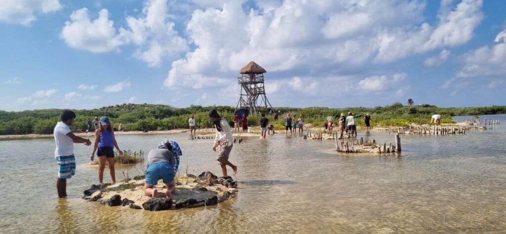 Abren las puertas de Punta Sur para una meditación activa