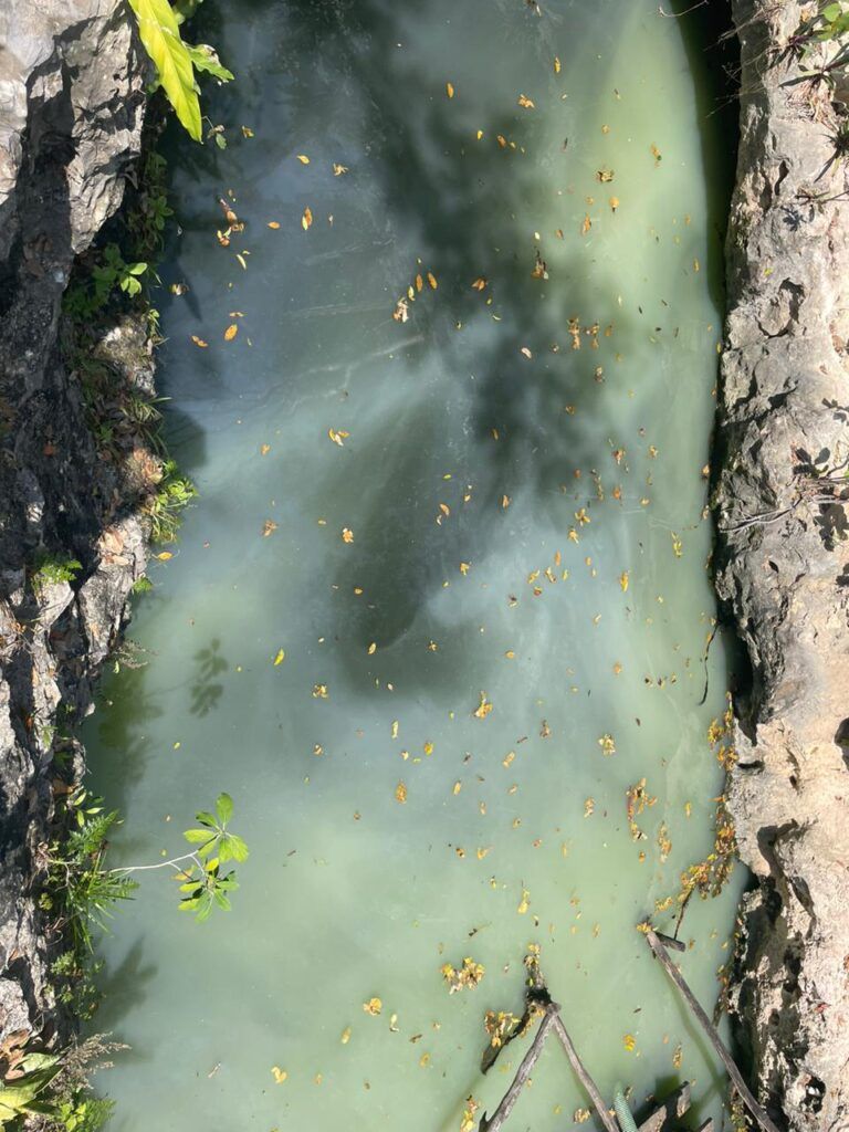 Inspeccionan contaminación en cenote de Chemuyil