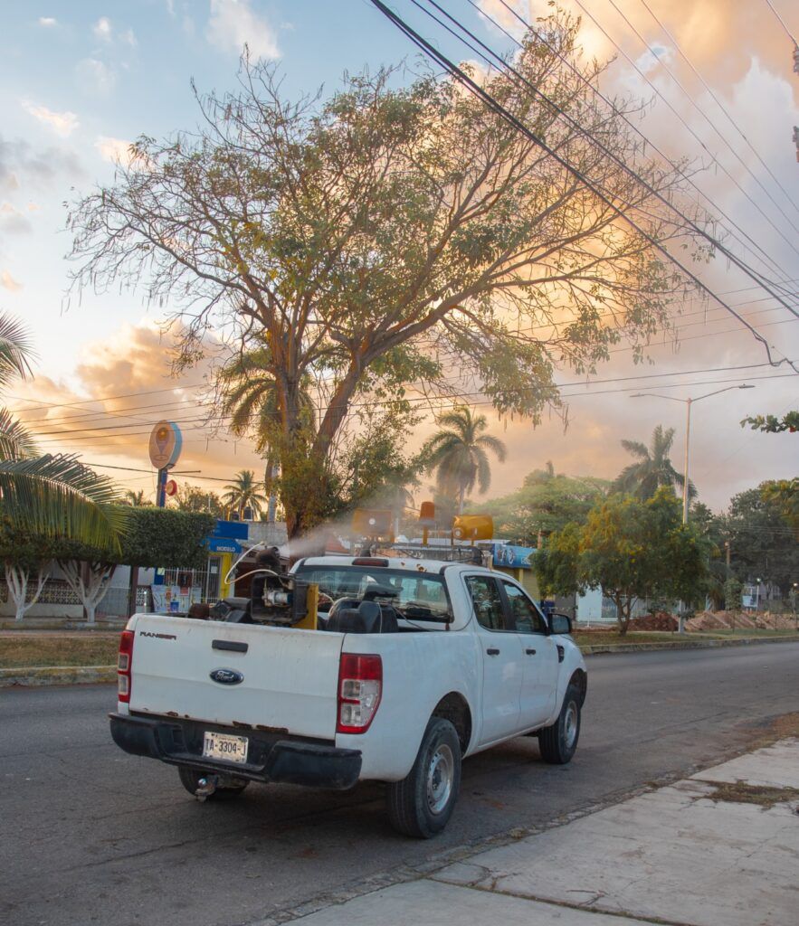 Intensifica SESA acciones contra el dengue, zika y chikungunya