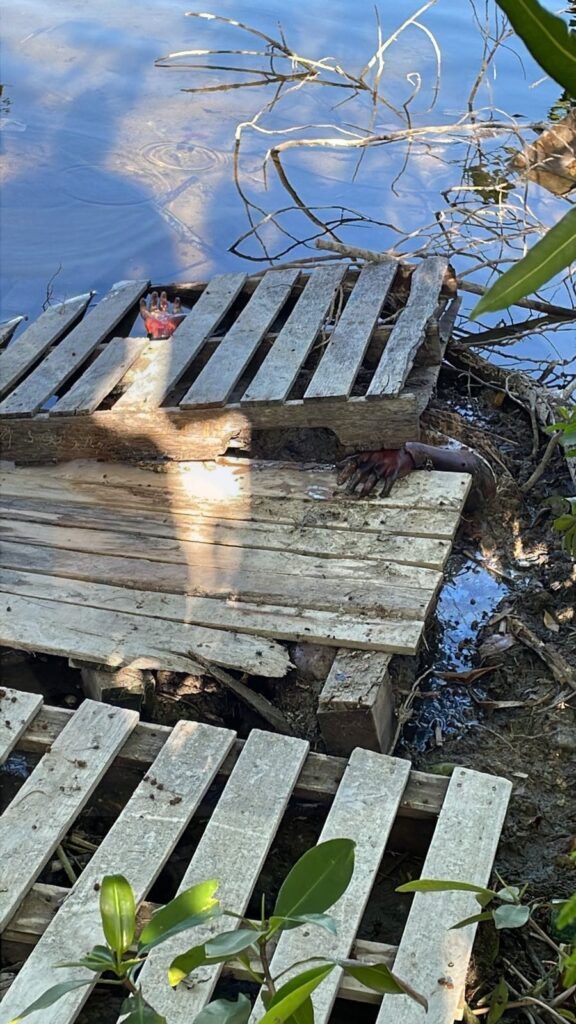 Creen que hombre desaparecido en Subteniente López fue hallado asesinado en Belice