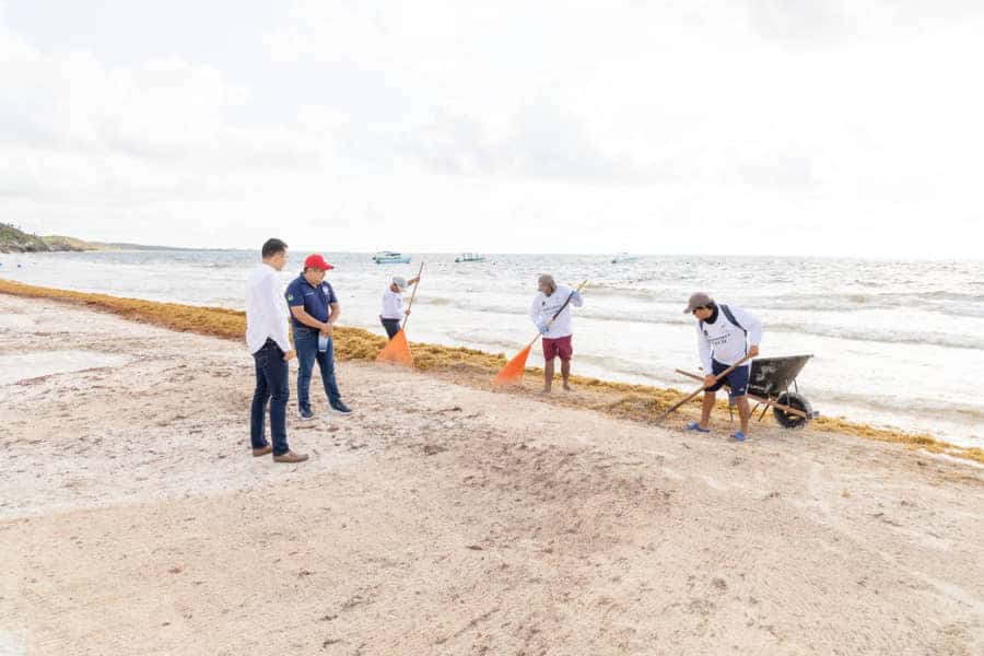 Inicia limpieza de playas en Tulum