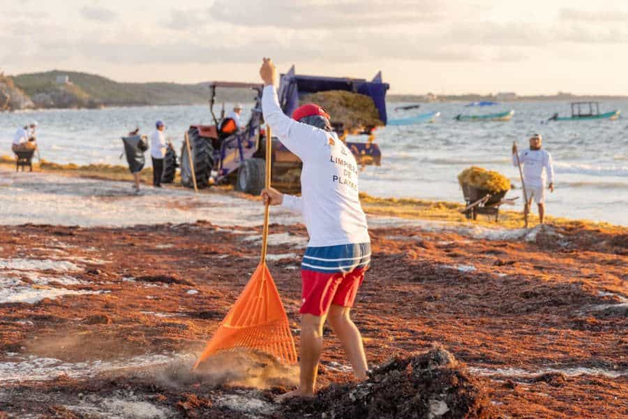 Inicia limpieza de playas en Tulum