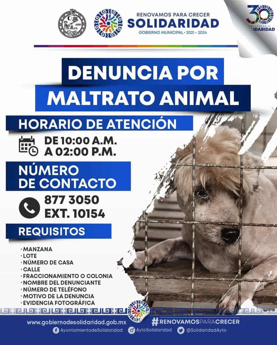En Solidaridad se castiga el maltrato animal