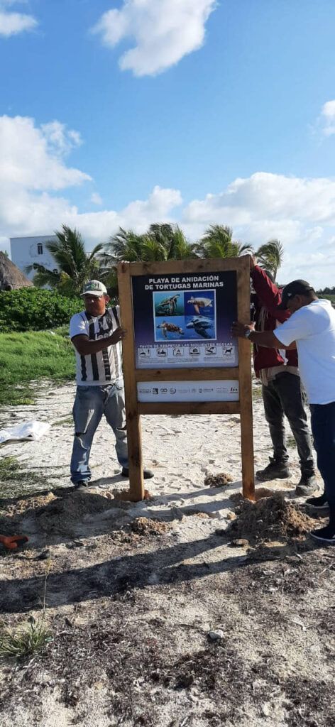 Participa gobierno de Puerto Morelos en limpieza de playas ante anidación de tortugas marinas