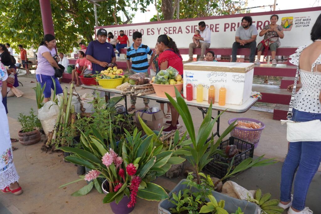 Resaltan campesinos de José María Morelos importancia de custodiar semillas nativas para garantizar biodiversidad