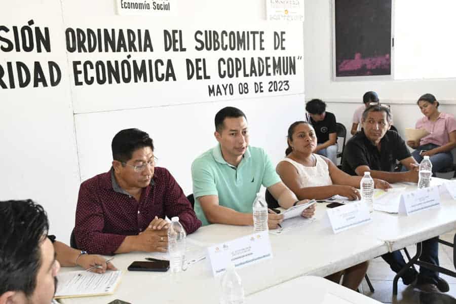 Se realizó primera sesión ordinaria del subcomité de prosperidad económica del COPLADEMUN