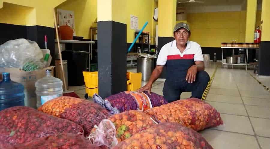 La SEDE realiza vinculación comercial de 315 kilos de chile habanero de productores de Kantunilkín 
