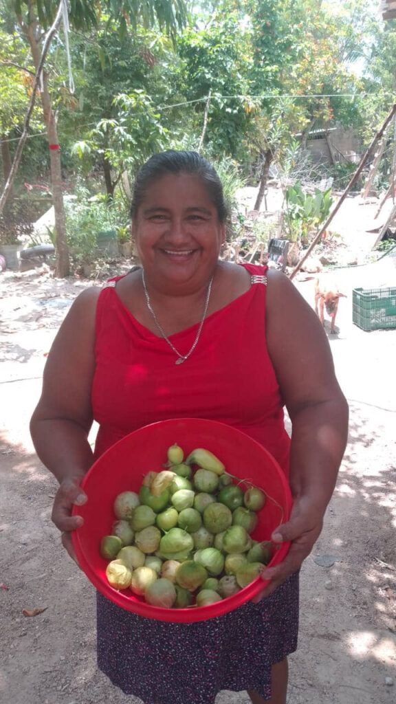 Convoca SEBIEN y U Belilek a mujeres quintanarroenses formar parte de Huertos del Bienestar