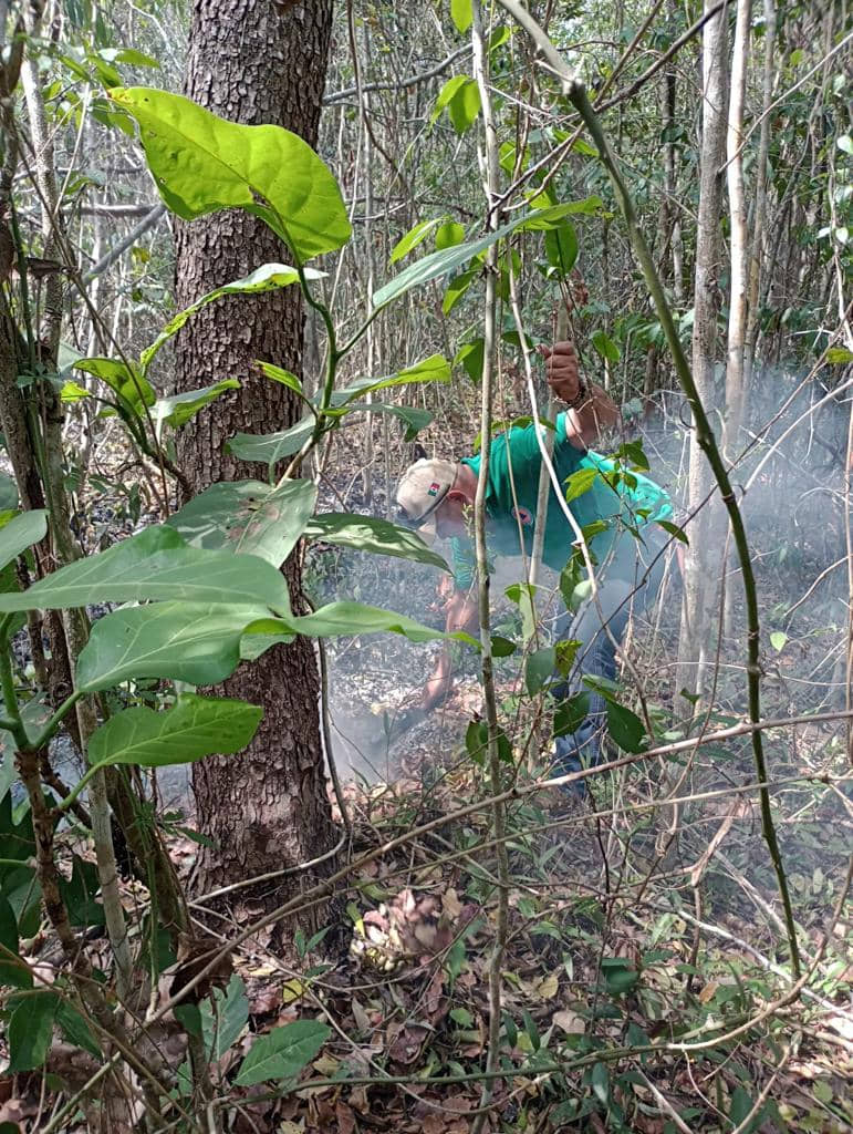 Incendio está controlado: Lili Campos