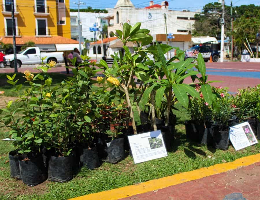 Invitan a participar en “Kilo verde” y “Croquetón”