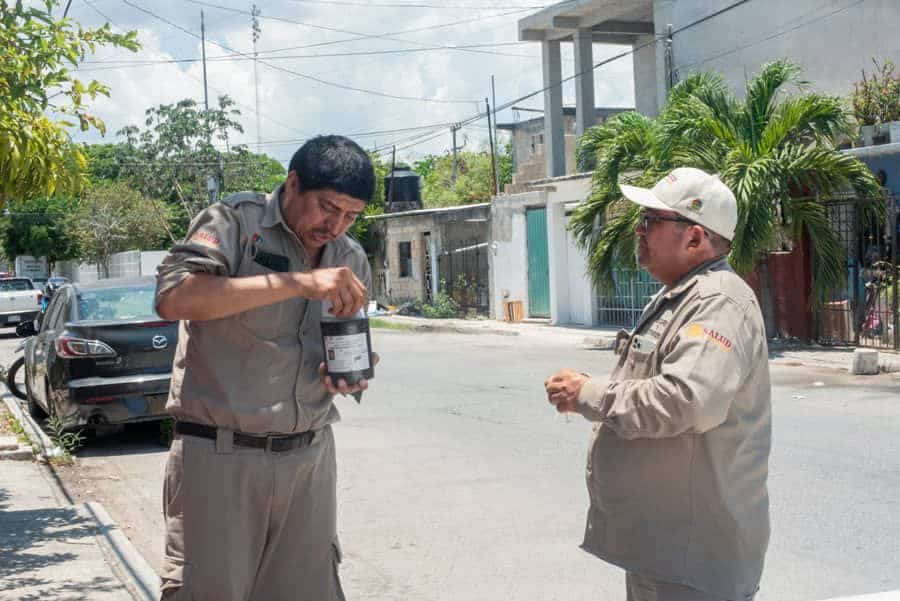 Intensifica SESA operativos integrales contra el dengue