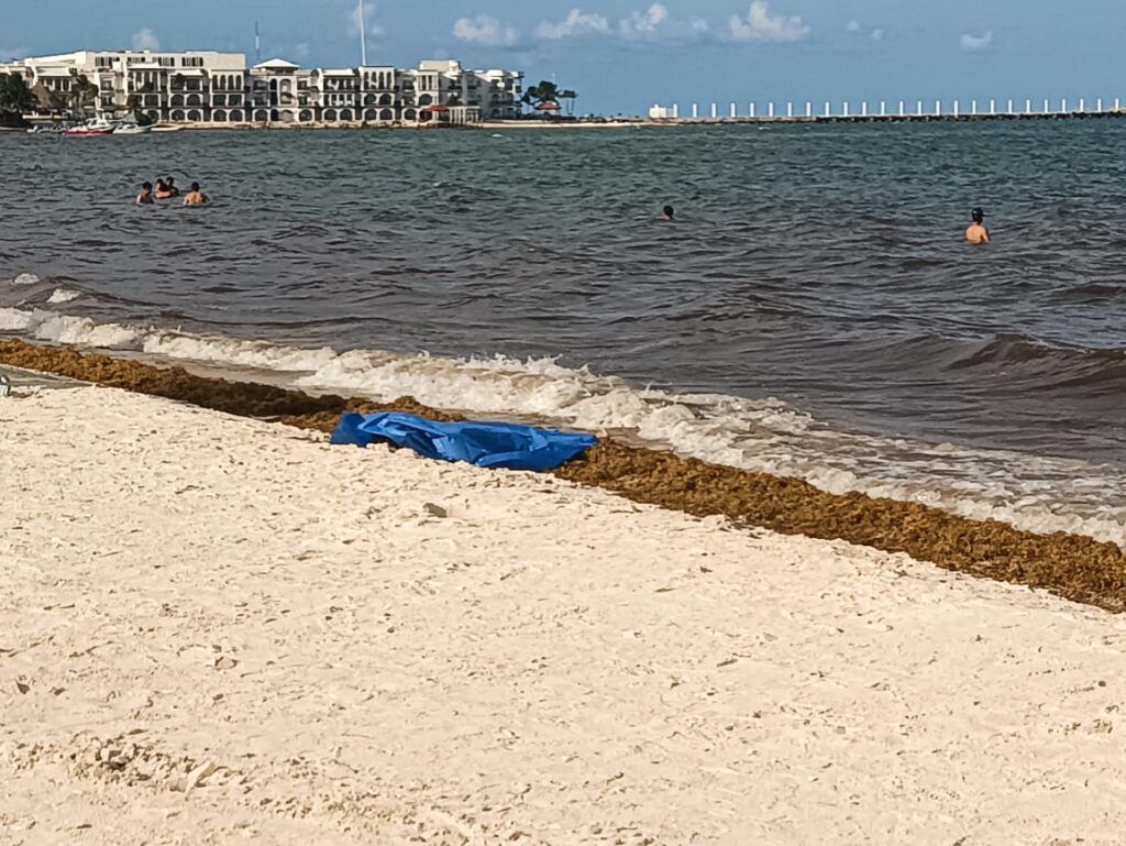 Joven pierde la vida al ahogarse en concurrida playa de la ciudad