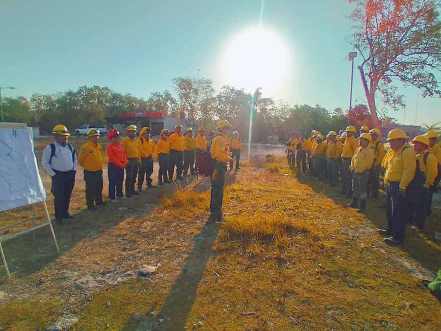 Quintana Roo mantiene bajo control los incendios forestales gracias a la colaboración interinstitucional
