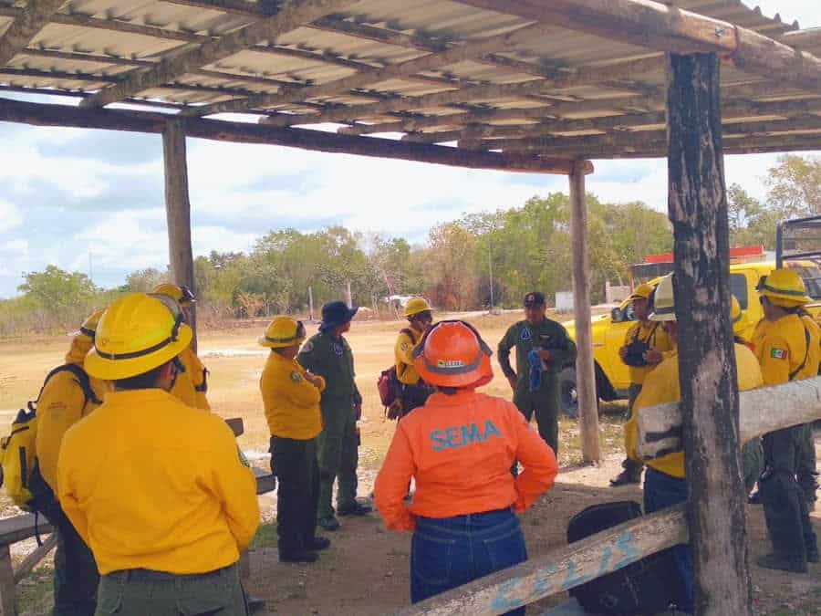Quintana Roo mantiene bajo control los incendios forestales gracias a la colaboración interinstitucional