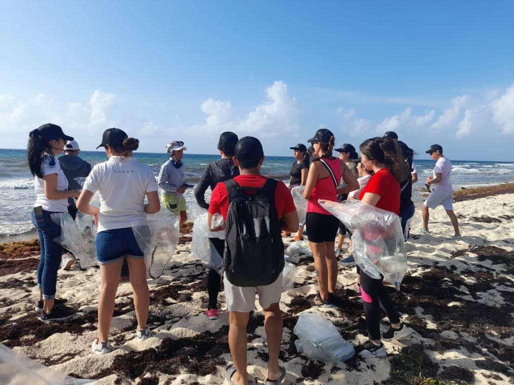 Refuerza Gobierno de Puerto Morelos acciones de conservación del medio ambiente