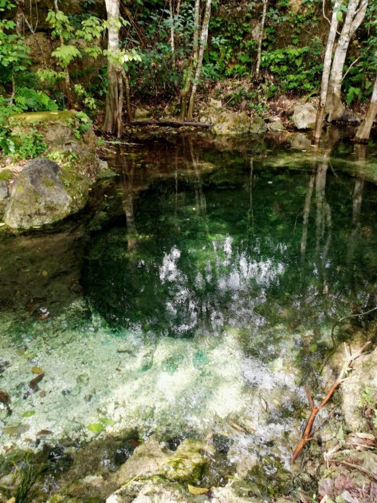 Dinamitan cenote de la comunidad Macario Gómez, en Tulum