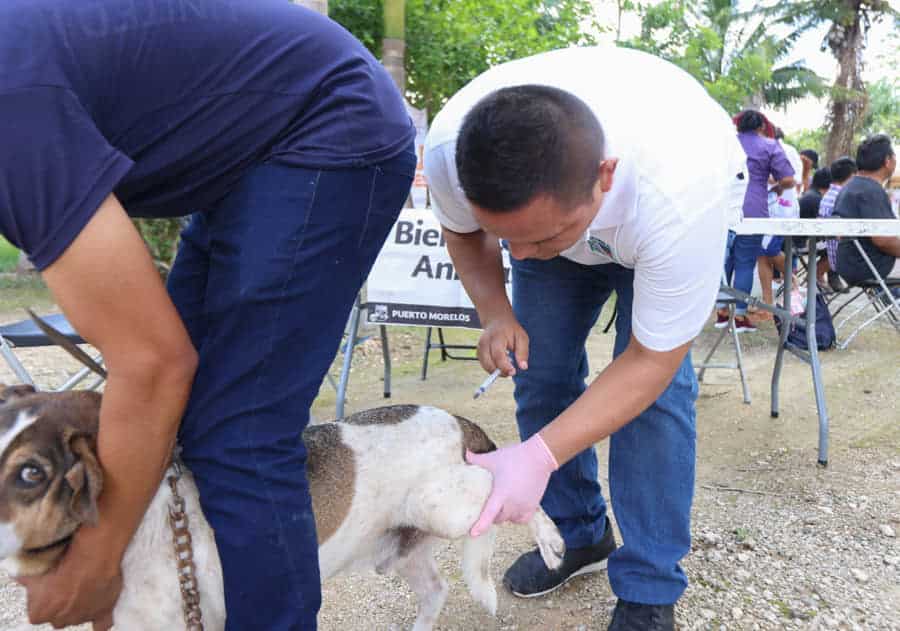 Lleva Blanca Merari brigadas de servicios a comunidad de la zona agrícola